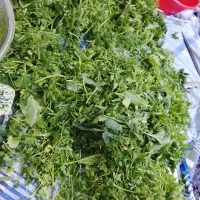 سبزی خورشتی پخته