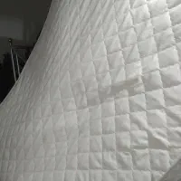 یک عدد تشک پرهام