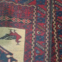 مرغی اعلا|فرش|تهران, پامنار|دیوار