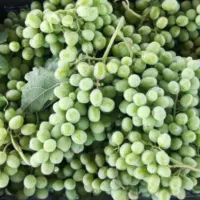 غوره غوره