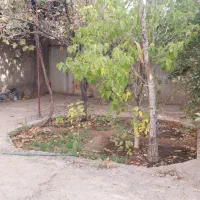 اجاره سوییت(حیاط دار) روزانه(ماهان)|اجارهٔ کوتاه‌مدت آپارتمان و سوئیت|ماهان, |دیوار