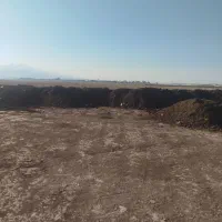 پخش کود دامی|خدمات باغبانی و درختکاری|محمدشهر, محمدشهر|دیوار