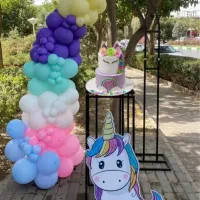 تم‌ و‌ بادکنک تولد،بیرون بر اقتصادی فقط ۶۵۰ ت