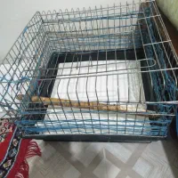 قفس حیوانات معاوضه میشود|لوازم جانبی حیوانات|مشکیندشت, |دیوار