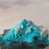 احسان رحمانی