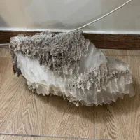 سنگ نمک