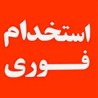 نیروی ساده فنی