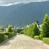 ۲۲۰ متری ویو ابدی داخل بافت *پارک جنگلی نور