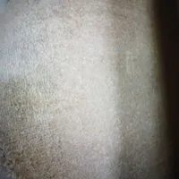 موکت پالاز
