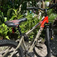 دوچرخه جردن مدل maneli سایز 29