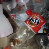 تعدادی بطری