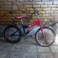 دو عدد دوچرخه 20