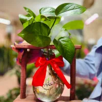 گل و گیاه طبیعی|گل و گیاه طبیعی|رودهن, |دیوار