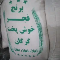 برنج فجر گرگان