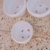 گلدان خانگی|گل مصنوعی|رشت, رشتیان|دیوار