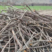 خرید و قطع درخت و چوب|خدمات باغبانی و درختکاری|کرمانشاه, |دیوار