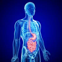 استخدام نیروی خدمات در کلینیک گوارش