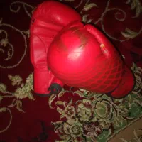 دستگش بوگس|تجهیزات ورزشی|بومهن, |دیوار