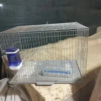 قفس پرنده|لوازم جانبی حیوانات|چهارباغ, |دیوار