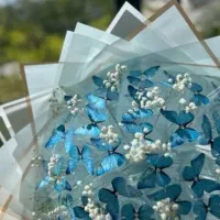 دسته گل پروانه ای|گل مصنوعی|اردبیل, |دیوار