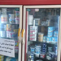 یخچال ویترینی ایستاده|فروشگاه و مغازه|اهواز, کیانشهر|دیوار