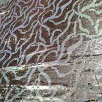 پارچه پولکی مجلسی