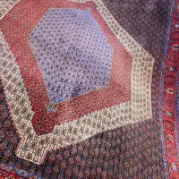 انواع قالی سنندج درمتراژ مختلف درحراج فرش خیام