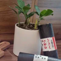 هنوز هم کیسه زباله رو فقط براساس قیمت میخرید