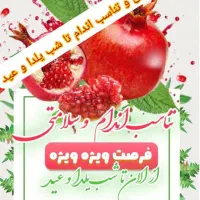 لاغری تا یلدا