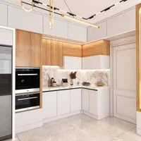اجرا انواع کابینت بروز دنیا