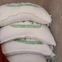 برنج خوشبخت ایرانی(گرگان)