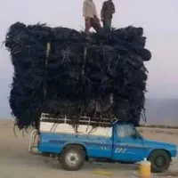 خریدار تیپ بهترین قیمت تو زمین و جمع شدش