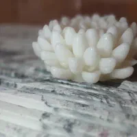 شمع داودی|صنایع دستی و سایر لوازم تزئینی|تهران, مجیدیه|دیوار