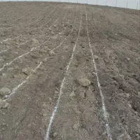 اجاره زمین کشاورزی