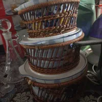 گل پنبه ای