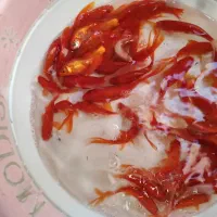 ماهی گلدفیش و قرمز شب عید|ماهی|اصفهان, پوریای ولی|دیوار