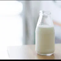 شیر محلی تازه طعم طبیعی و اصیل