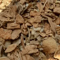 نون خشک فرداعلاتمیز|لوازم جانبی حیوانات|رضویه, |دیوار