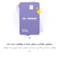 پول دربیار تضمینی