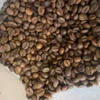 دان قهوه فول ، هات چاکلت ، میت و مواد اولیه وندینگ