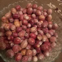 سنجد تازه امسالی|خوردنی و آشامیدنی|بردسیر, |دیوار