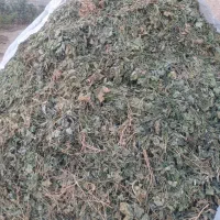 علوفه گاو وگوسفند|لوازم جانبی حیوانات|کرج, شهرک رضوانیه|دیوار