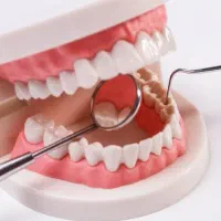 عصب کشی دندان های آسیاب کوچک