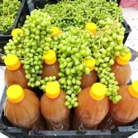 غوره و آبغوره با کیفیت و قیمت مناسب
