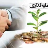 نیاز به سرمایه گذار