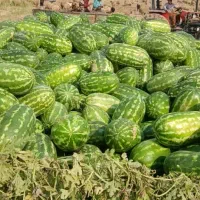 تبادل اطلاعات کشاورزی