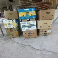 کارتن موز