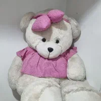 خرس بزرگ