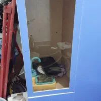 دراور و بوفه کودک