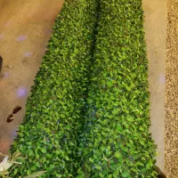 فنس چمنی مدل برگی ارتفاع ۲ متر کافه رستوران